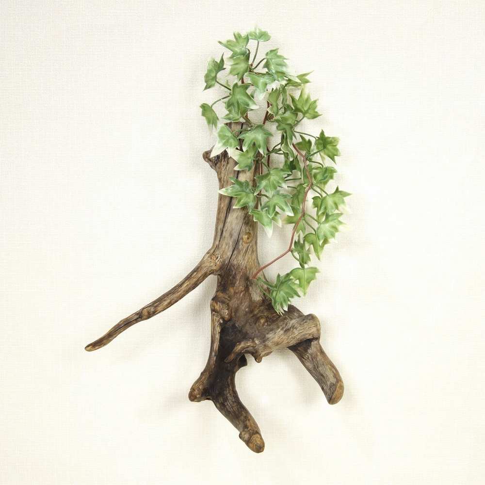 【温泉流木】美しい根流木のスリムな壁掛け一輪挿し・花器 花瓶 流木インテリア