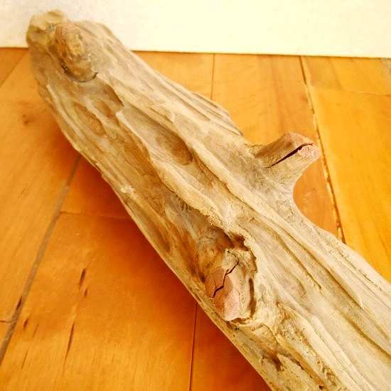 【温泉流木】枝がかわいい幹の流木  流木素材 インテリア素材 木材