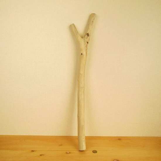 【温泉流木】Ｙの字に分かれる白っぽい海流木棒 インテリア素材 木材