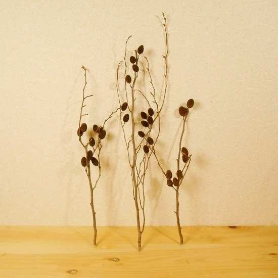 ヤシャブシの実付き枝木001 ～生け花、リース、クリスマス オーナメント、水槽などに