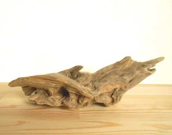 【温泉流木】波を思わせる造形美の流木 流木オブジェ 素材 流木インテリア
