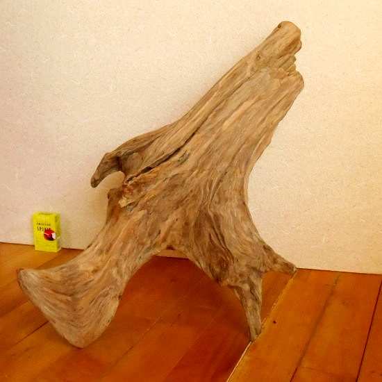 【温泉流木】立派な根の流木 流木オブジェ 素材 流木インテリア