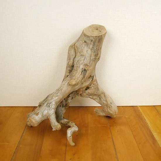 【温泉流木】踊るように伸びる根の流木 インテリア素材 木材
