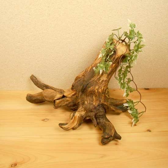 【温泉流木】根が生き生きとした流木花器オブジェ 壁掛け花瓶 流木インテリア