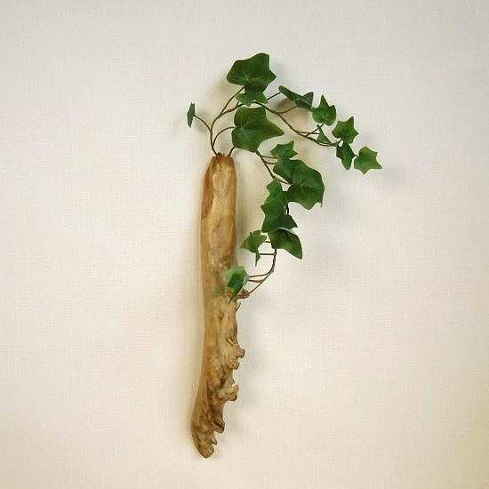 【温泉流木】生き生きとした根が残る流木の壁掛け一輪挿し 花器 流木インテリア