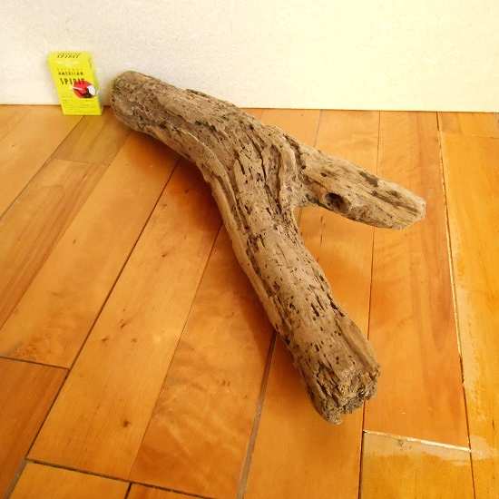 【温泉流木】海のＹの字流木  流木素材 インテリア素材 木材