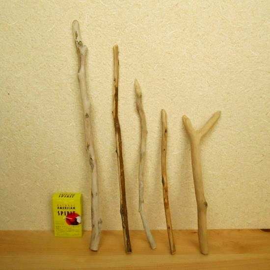 【温泉流木】枝流木5点セット  流木素材 インテリア素材 木材