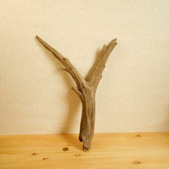 【温泉流木】美しい枝のＹ字流木 流木素材 インテリア素材 木材