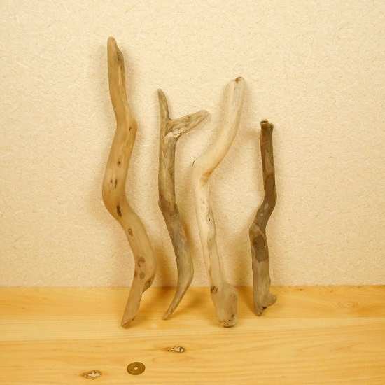【温泉流木】かわいいくねくね流木4点セット 流木素材 インテリア素材 木材