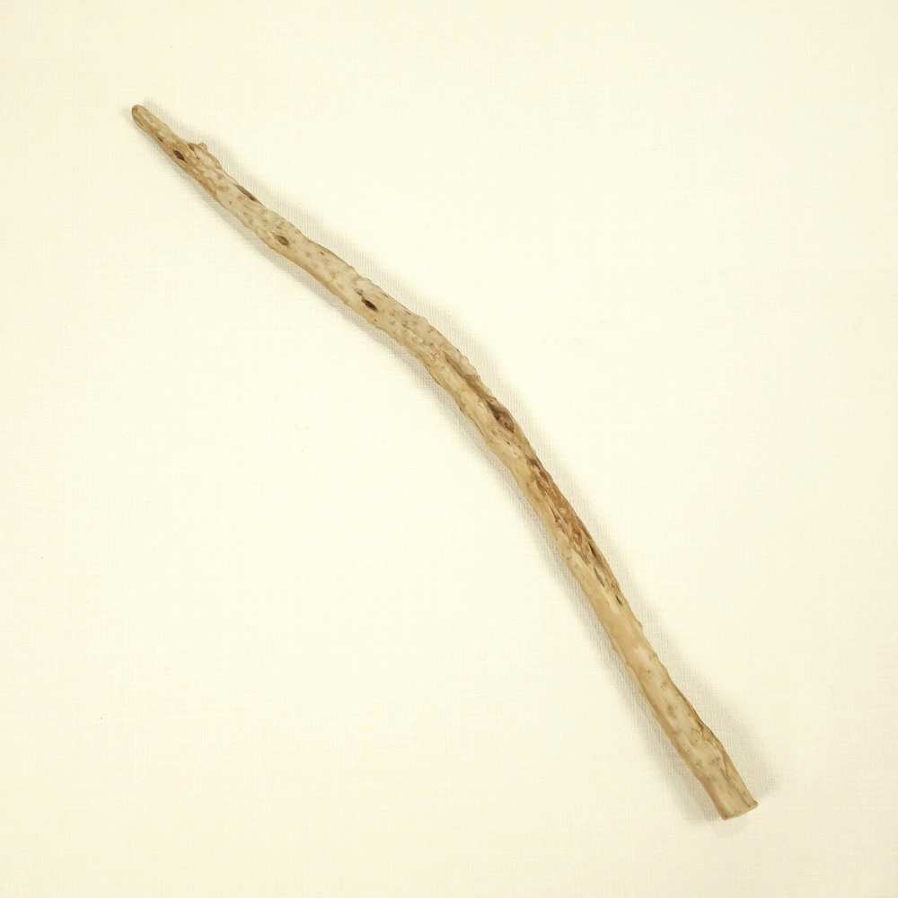 【温泉流木】イボイボ肌とパックリ木の節の姿美しい枝流木 流木素材 インテリア素材 木材