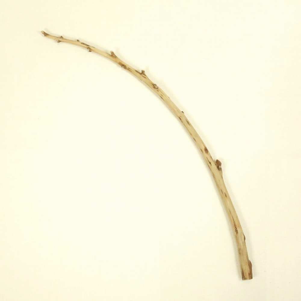 【温泉流木】元気な枝が残る湾曲美しい長枝流木 流木素材 インテリア素材 木材