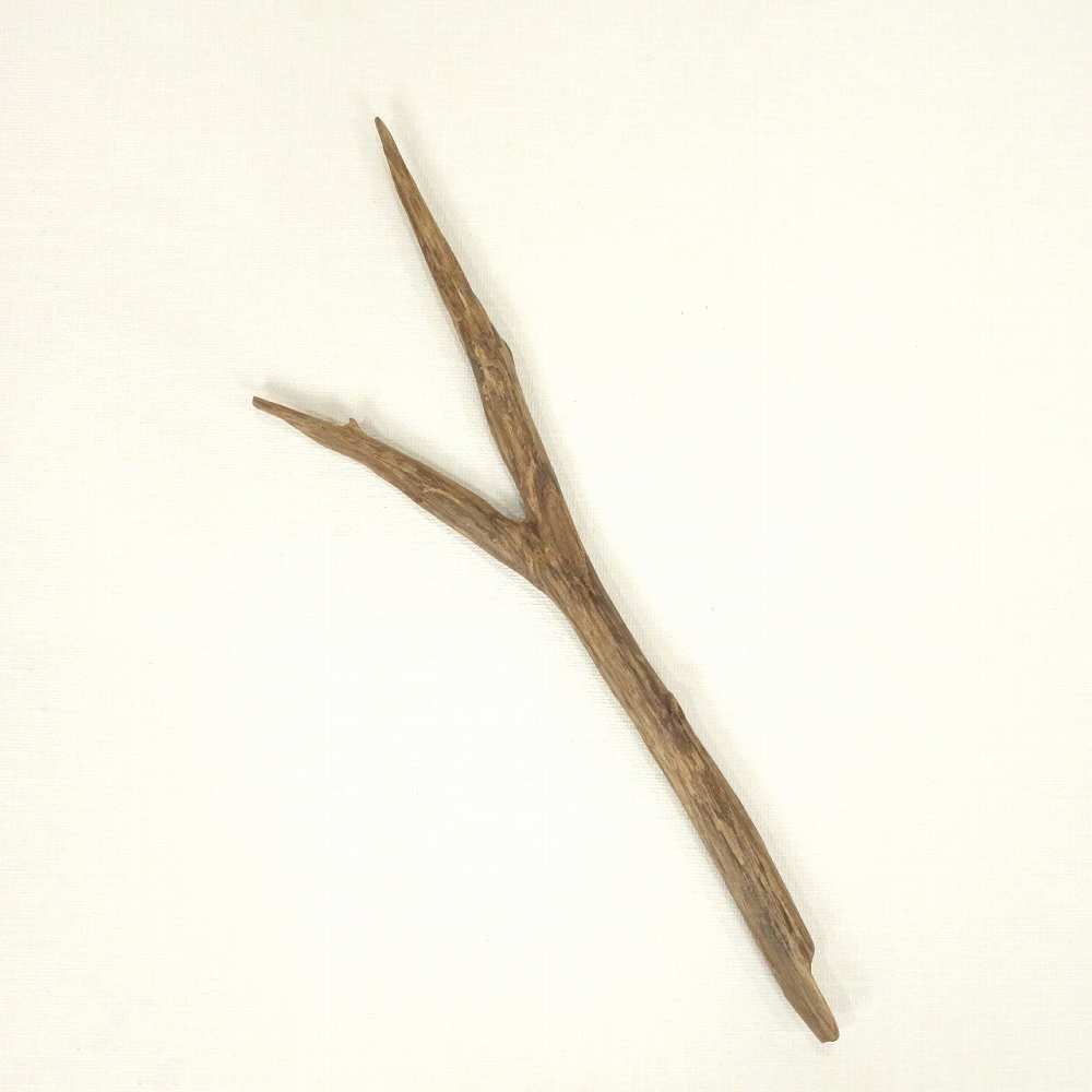 【温泉流木】ダークブラウンの鋭いＹ字上質枝流木 枝 流木素材 インテリア素材 木材