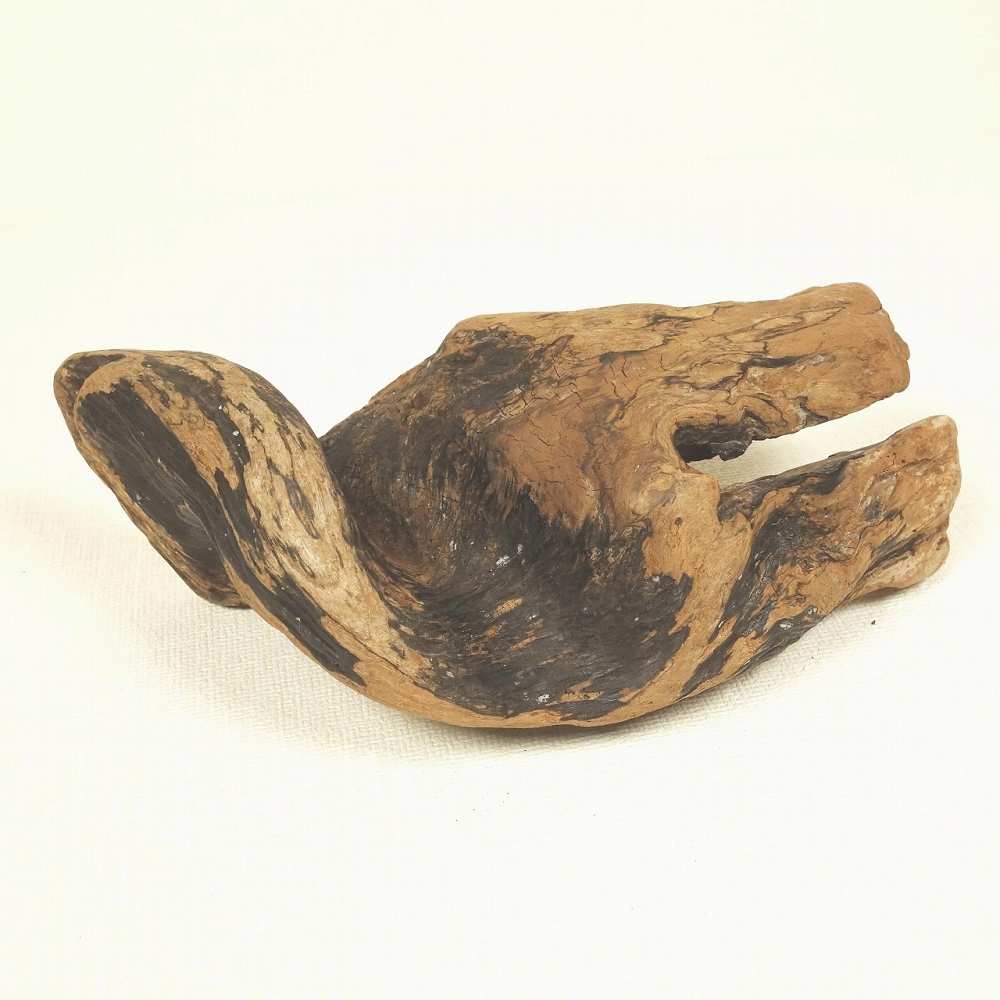 【温泉流木】小物も置ける変形流木002不思議なカーブ形状の流木 流木素材 インテリア素材 木材