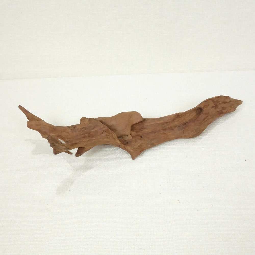 【温泉流木】紙飛行機のように飛んでいきそうな美しい変形流木 流木素材 インテリア素材 木材