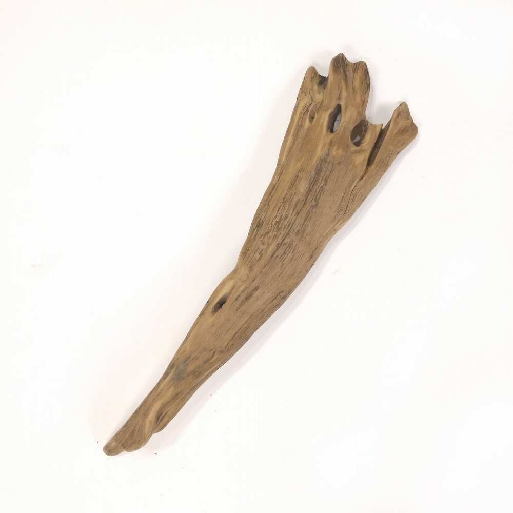 【温泉流木】カッパの手のような平たい変形流木 流木素材 インテリア素材 オブジェ レイアウト